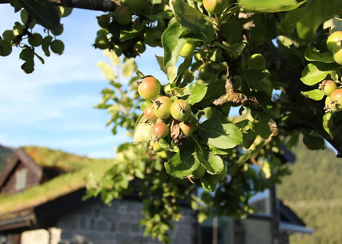 Idyllic House With Views - Close To Nature *