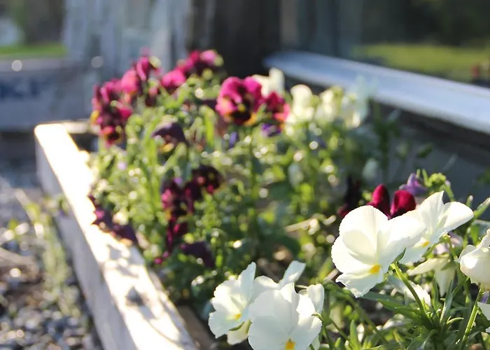 Idyllic House With Views - Close To Nature * Nydalen