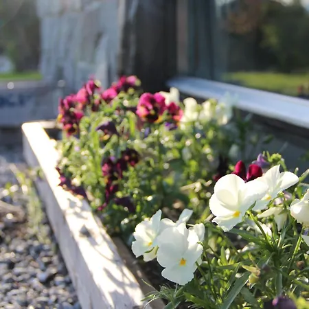 Idyllic House With Views - Close To Nature * Nydalen